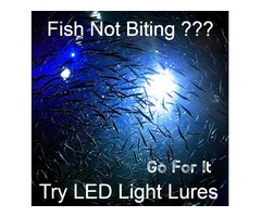 Light Lures | free-classifieds-usa.com - 1