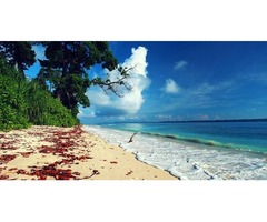 Andaman and Nicobar Islands Tour Information | free-classifieds-usa.com - 1