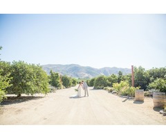Best Destination wedding photographer | free-classifieds-usa.com - 1