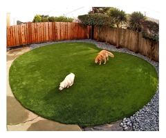 Choose Best Synthetic Grass for Pets | free-classifieds-usa.com - 1