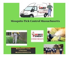 Outdoor Mosquito Control | free-classifieds-usa.com - 1