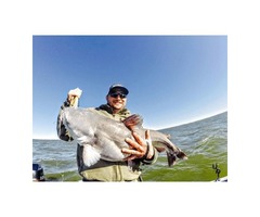 Guided Fishing Lake Texoma | free-classifieds-usa.com - 1
