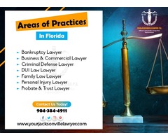 DUI, Traffic, Family, Divorce & Criminal Defense Lawyers | free-classifieds-usa.com - 1