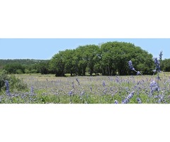 Hunting Land Texas Hill Country | Kerrville, Tx | | free-classifieds-usa.com - 2