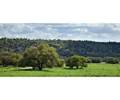 Hunting Land Texas Hill Country | Kerrville, Tx | | free-classifieds-usa.com - 3