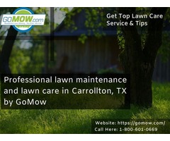 Professional lawn maintenance and lawn care by GoMow | free-classifieds-usa.com - 1