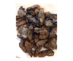  Visit Our Store for Buying Dried Oyster | free-classifieds-usa.com - 1