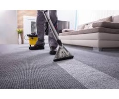 Carpet Cleaning Services in Sarasota | ServiceMaster Restorations | free-classifieds-usa.com - 1