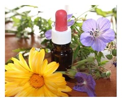 Homeopathy in Philadelphia | free-classifieds-usa.com - 2