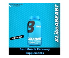 Best Muscle Recovery Supplements | free-classifieds-usa.com - 1