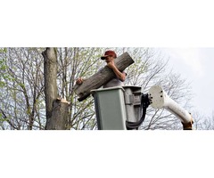 Tree Removal In Loganville | V.R. Contracting Services | free-classifieds-usa.com - 2
