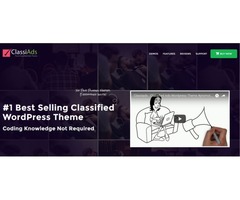 Classified WordPress Theme | free-classifieds-usa.com - 1