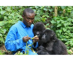 Tour Uganda and Rwanda | free-classifieds-usa.com - 2