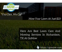 Here Are Best Lawn Care And Mowing Services In Richardson, TX At GoMow | free-classifieds-usa.com - 1