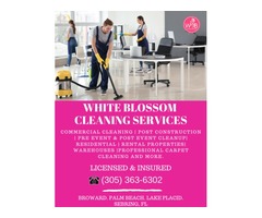 PALM BEACH COMMERCIAL CLEANING SERVICES, JANITORIAL SERVICE BROWARD | free-classifieds-usa.com - 1