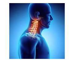 Neurospine  Orthopedic Spine Surgery In  Tampa | free-classifieds-usa.com - 4