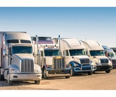 Trucking companies have swarms of lawyers | free-classifieds-usa.com - 1