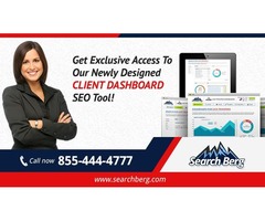 Seattle SEO Services | Professional SEO Consultant | Hire Seattle SEO Company - Search Berg | free-classifieds-usa.com - 1