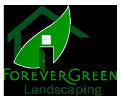 Forever Green Landscaping | free-classifieds-usa.com - 1