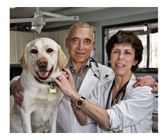 Exotic Animal Veterinarian in Newburgh NY  | free-classifieds-usa.com - 1