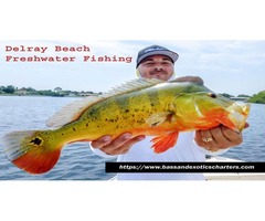 Freshwater Fishing Delraybeach | free-classifieds-usa.com - 1