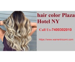 Hair color Plaza Hotel NY – Warrentricomi | free-classifieds-usa.com - 1