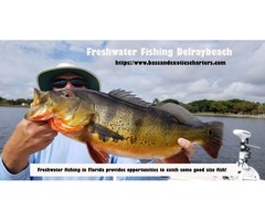 South East Florida Fishing | free-classifieds-usa.com - 1