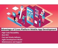 Advantage of Cross Platform Mobile App Development | free-classifieds-usa.com - 1