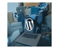 Top Wordpress Development Company In USA- Infoxen | free-classifieds-usa.com - 1