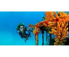 Stingray City Cayman Islands | free-classifieds-usa.com - 1