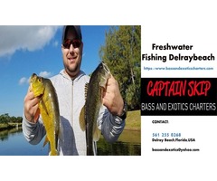 Freshwater Fishing Delraybeach | free-classifieds-usa.com - 1