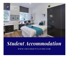 Find your spacious and fully furnished student accommodation in Greenville | free-classifieds-usa.com - 1