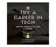 Try a Career in Tech: Online Medical Billing & Coding | free-classifieds-usa.com - 1