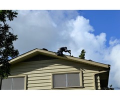 residential roof repair nj | free-classifieds-usa.com - 1