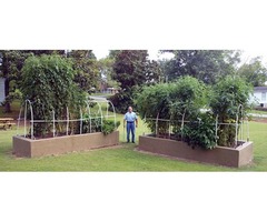 Grow MORE Food Using LESS Water - The 20 FOOT Tomato Plant Books 1 & 2 | free-classifieds-usa.com - 1