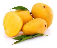 Relish Mangoes Year-round by purchasing from Reputed Suppliers in Bulk | free-classifieds-usa.com - 1