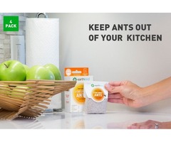 Stay Away Ants|Ants Repellent  Earthkind | free-classifieds-usa.com - 2