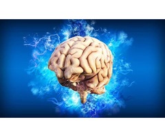 Neurologist in Florida | free-classifieds-usa.com - 1