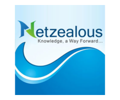 Well Training Available for all Industries from Netzealous LLC | free-classifieds-usa.com - 1