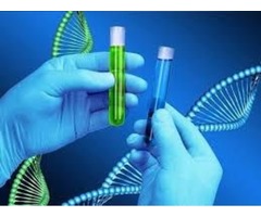 Legal sibling DNA testing - Face IT DNA | free-classifieds-usa.com - 1