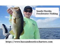 Enjoy Freshwater Fishing in South Florida | free-classifieds-usa.com - 1