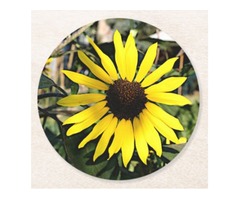 Paper Coasters Bright Yellow Sunflower in a Garden | free-classifieds-usa.com - 1