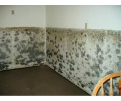 Water Damage Cleanup Bergen County NJ | free-classifieds-usa.com - 1
