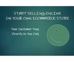 Create A Webstore Without ANY CODING Required  | free-classifieds-usa.com - 1