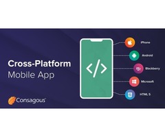 Cross Platform App Development Services | free-classifieds-usa.com - 1