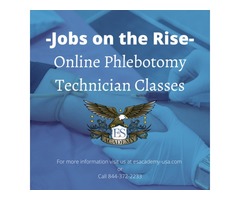 Jobs on the Rise – Online Phlebotomy Technician | free-classifieds-usa.com - 1