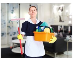 Importance of Professional Cleaning Services | free-classifieds-usa.com - 1