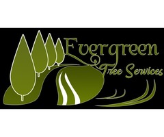 Ever Green Tree Services | free-classifieds-usa.com - 4