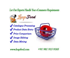 Data feed Management Services for Online Business | free-classifieds-usa.com - 1