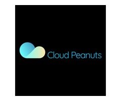 Cloud Peanuts - Top Web App Design & Development | free-classifieds-usa.com - 1
